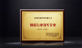 財稅行業領軍企業